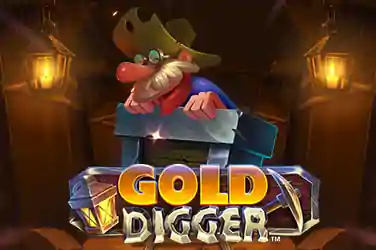 GOLD DIGGER?v=6.0